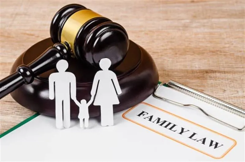 Family Court Can Take Any Material As Evidence